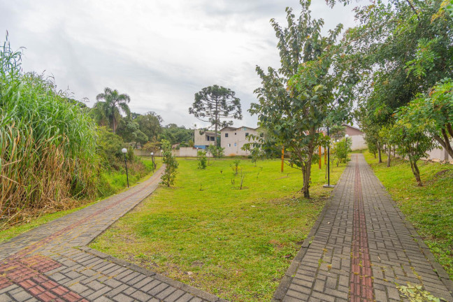 Imagem Apartamento com 2 Quartos para Alugar, 40 m² em Jardim Itaqui - Campo Largo Imagem Apartamento com 2 Quartos para Alugar, 40 m² em Jardim Itaqui - Campo Largo