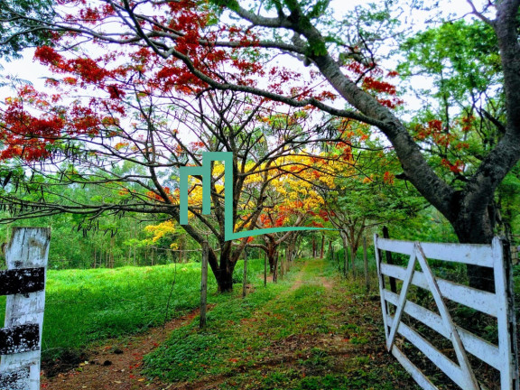 Imagem Imóvel com 2 Quartos à Venda, em Zona Rural - Capetinga Imagem Imóvel com 2 Quartos à Venda, em Zona Rural - Capetinga