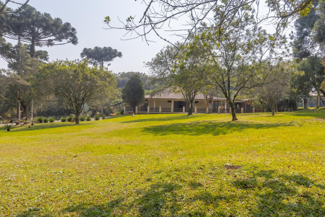 Imagem Imóvel com 4 Quartos à Venda, 37.906 m² em Ouro Verde - Campo Largo Imagem Imóvel com 4 Quartos à Venda, 37.906 m² em Ouro Verde - Campo Largo