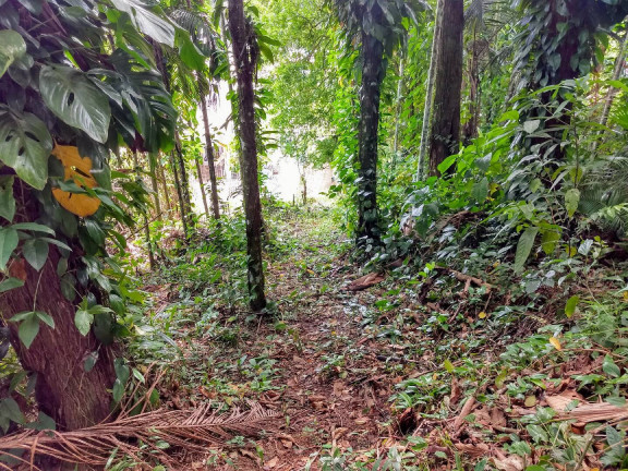 Imagem Terreno à Venda, 900 m² em América - Joinville