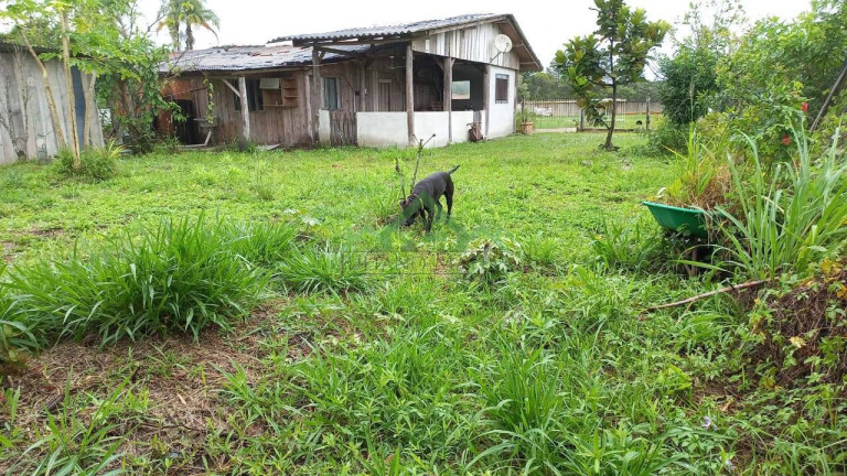 Imagem Chácara com 3 Quartos à Venda, 130 m² em Pinheiros - Balneário Barra Do Sul Imagem Chácara com 3 Quartos à Venda, 130 m² em Pinheiros - Balneário Barra Do Sul