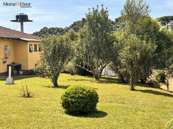 Imagem Chácara com 4 Quartos à Venda, 7.700 m² em Loteamento Chácara Chantecler - Piraquara