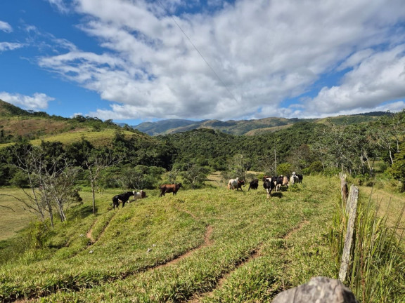 Chácara com 1 Quarto à Venda, 100 m² em Centro - Silveiras