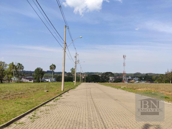 Imagem Terreno à Venda, 515 m² em Linha Santa Cruz - Santa Cruz Do Sul Imagem Terreno à Venda, 515 m² em Linha Santa Cruz - Santa Cruz Do Sul