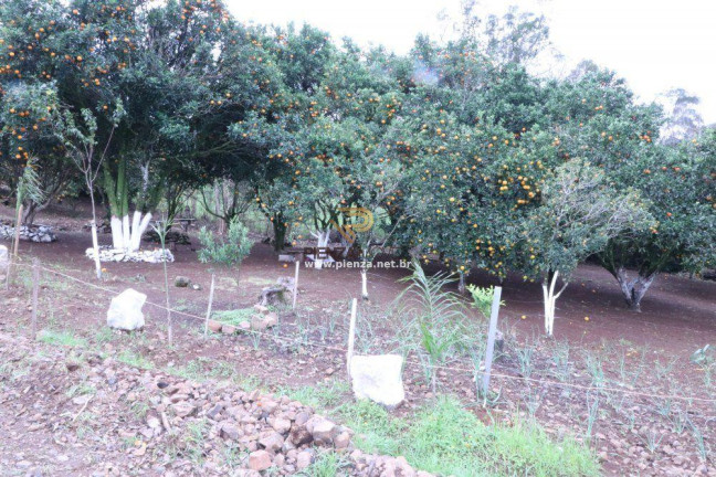 Imagem Terreno à Venda, 130.680 m² em Rural - Lindóia Do Sul Imagem Terreno à Venda, 130.680 m² em Rural - Lindóia Do Sul