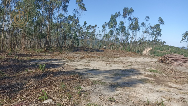 Imagem Fazenda à Venda, 300 m² em Centro - Salesópolis Imagem Fazenda à Venda, 300 m² em Centro - Salesópolis
