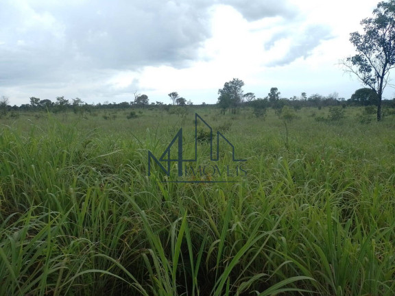 Imagem Fazenda à Venda, 29 m² em Almas - Arraias Imagem Fazenda à Venda, 29 m² em Almas - Arraias
