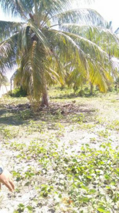 Imagem Terreno à Venda, 2 m² em São Cristóvão - Salvador