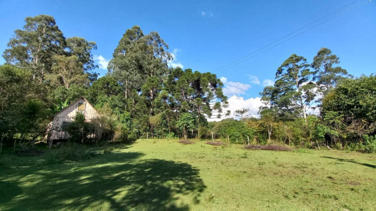 Imóvel com 3 Quartos à Venda, 11 m² em Olaria - Bocaiúva Do Sul
