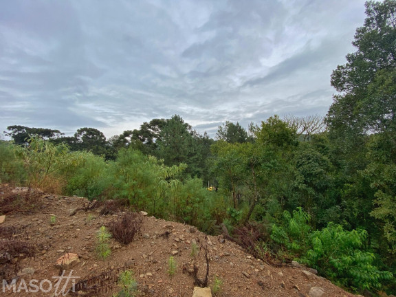 Imagem Terreno à Venda, 450 m² em Dutra - Gramado Imagem Terreno à Venda, 450 m² em Dutra - Gramado