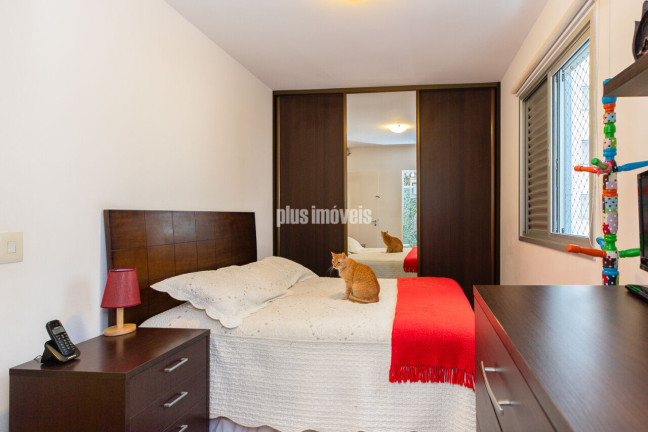 Imagem Apartamento com 3 Quartos à Venda, 65 m² em Aclimação - São Paulo Imagem Apartamento com 3 Quartos à Venda, 65 m² em Aclimação - São Paulo