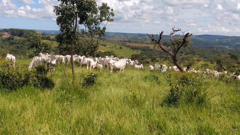 Imagem Fazenda à Venda, 63 m² em Zona Rural - Abadiânia