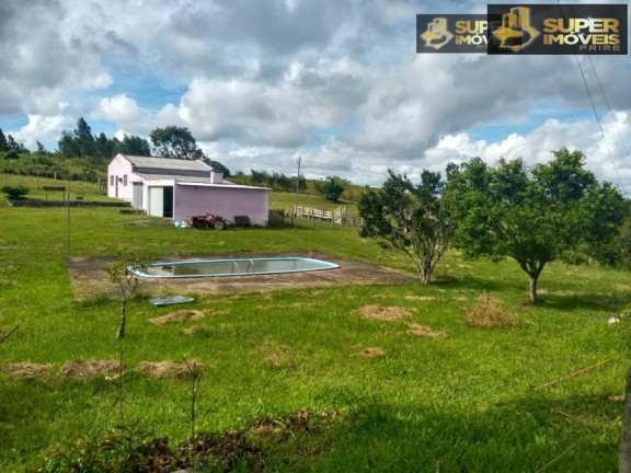 Imagem Imóvel com 8 Quartos à Venda, 60.000 m² em Centro - Canguçu