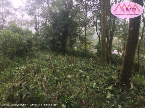 Imagem Terreno à Venda, 1.695 m² em Chácara Carreiras - Santo André