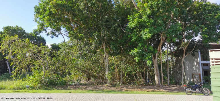 Imagem Terreno à Venda, 600 m² em Praia Do Forte - Mata De São João