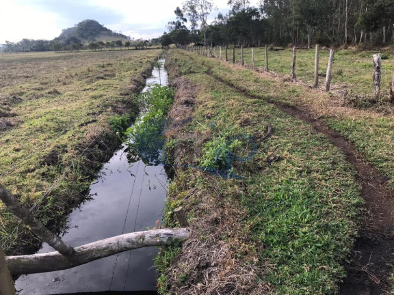 Imagem Fazenda à Venda, 120.000 m² em Jacaré - Torres