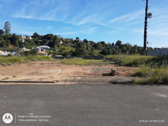 Imagem Terreno em Condomínio à Venda, 220 m² em São Dimas - Colombo Imagem Terreno em Condomínio à Venda, 220 m² em São Dimas - Colombo