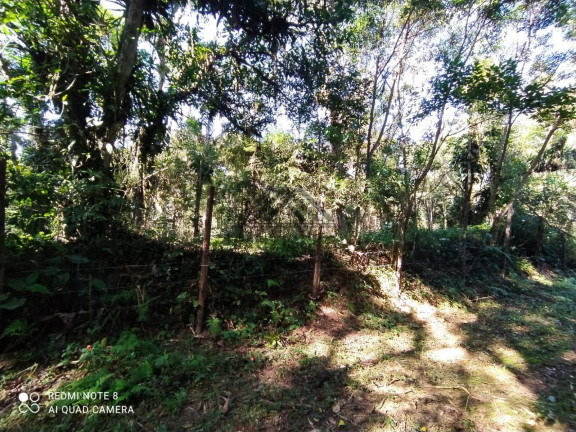Imagem Chácara à Venda, 1.000 m² em Parque Novaro Itanhaém - Itanhaém