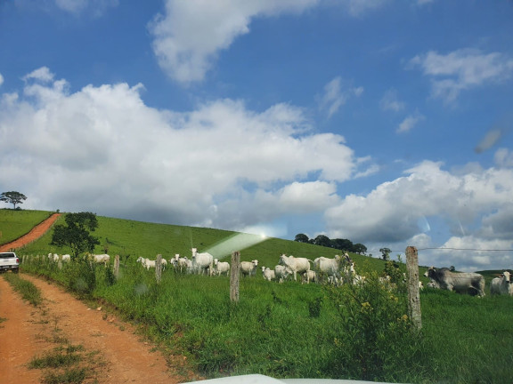 Imagem Imóvel à Venda, em Zona Rural - Congonhal Imagem Imóvel à Venda, em Zona Rural - Congonhal