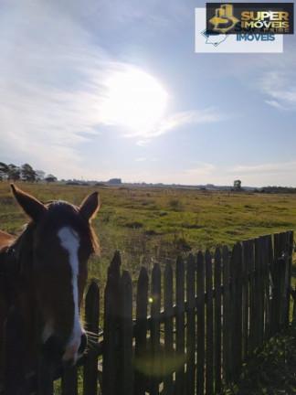 Imagem Imóvel com 2 Quartos à Venda, 60.000 m² em Quinta - Rio Grande