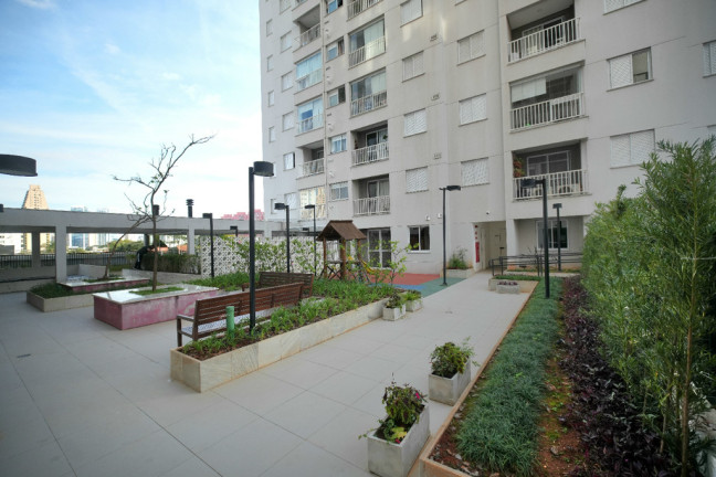 Imagem Apartamento com 2 Quartos à Venda, 53 m² em Jardim Das Laranjeiras - São Paulo Imagem Apartamento com 2 Quartos à Venda, 53 m² em Jardim Das Laranjeiras - São Paulo