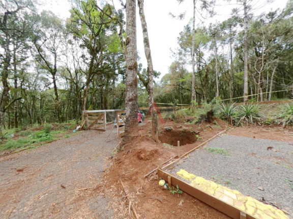 Imagem Fazenda à Venda, 20.000 m² em Jordão - Guarapuava Imagem Fazenda à Venda, 20.000 m² em Jordão - Guarapuava