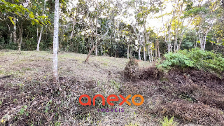 Imagem Terreno à Venda, 9.690 m² em Itoupavazinha - Blumenau