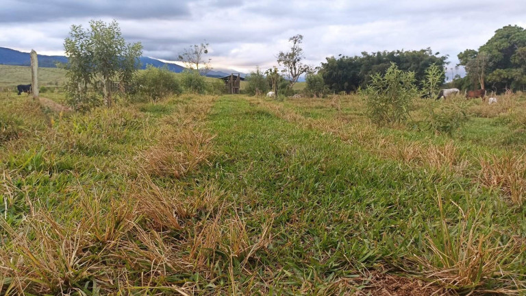 Imagem Fazenda à Venda, 100 m² em Estiva - Taubaté Imagem Fazenda à Venda, 100 m² em Estiva - Taubaté