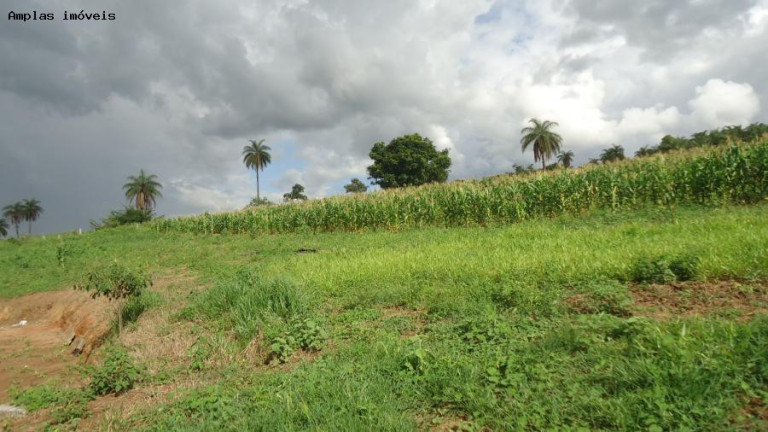 Imagem Fazenda à Venda, 6 m² em Azurita - Mateus Leme