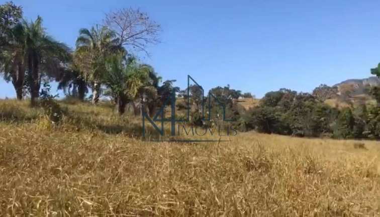 Imagem Fazenda à Venda, em Goiás Imagem Fazenda à Venda, em Goiás