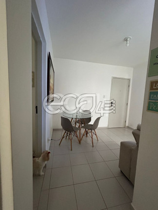 Imagem Apartamento com 2 Quartos à Venda, 48 m² em Centro - Nossa Senhora Do Socorro Imagem Apartamento com 2 Quartos à Venda, 48 m² em Centro - Nossa Senhora Do Socorro