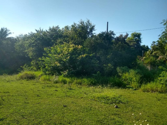 Imóvel à Venda, 874 m² em Palmeiras - Guaraparia
