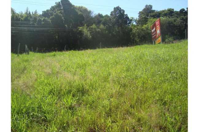 Imagem Terreno à Venda,  em Lomba Do Pinheiro - Porto Alegre