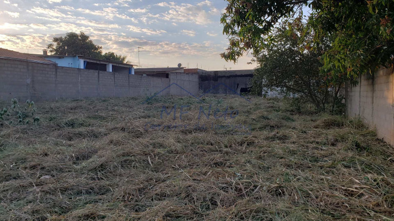 Imagem Terreno à Venda, 650 m² em Vila São Guido - Pirassununga