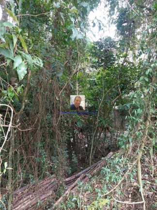 Imagem Terreno em Condomínio à Venda, 383 m² em Jardim Atalaia - Cotia Imagem Terreno em Condomínio à Venda, 383 m² em Jardim Atalaia - Cotia