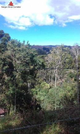 Imagem Terreno à Venda, 1.300 m² em Vila Capivari - Campos Do Jordão Imagem Terreno à Venda, 1.300 m² em Vila Capivari - Campos Do Jordão