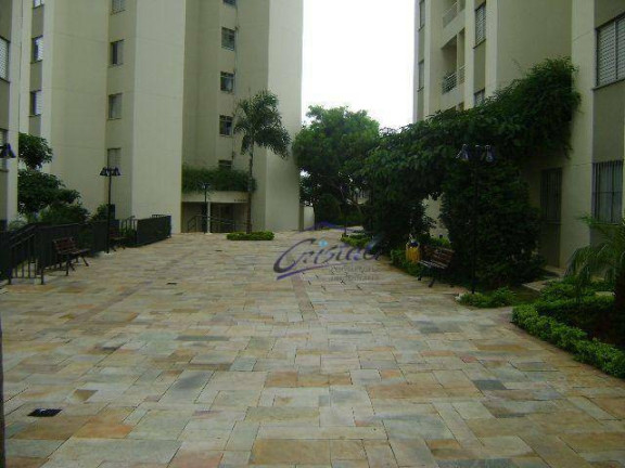 Imagem Apartamento com 2 Quartos à Venda, 50 m² em Butantã - São Paulo Imagem Apartamento com 2 Quartos à Venda, 50 m² em Butantã - São Paulo