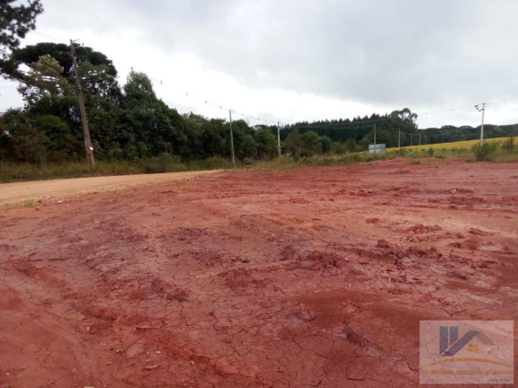 Imagem Terreno à Venda, 4.411 m² em Campo Largo Da Roseira - São José Dos Pinhais