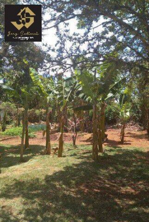 Imagem Chácara com 4 Quartos à Venda, 5 m² em Portal São Marcelo - Bragança Paulista Imagem Chácara com 4 Quartos à Venda, 5 m² em Portal São Marcelo - Bragança Paulista