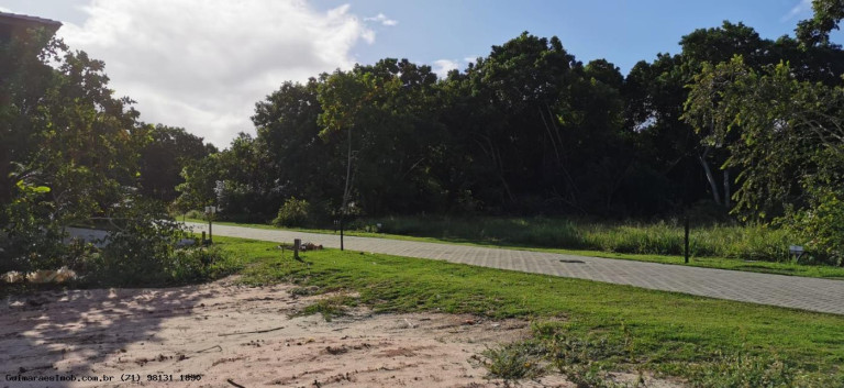 Imagem Terreno à Venda, 600 m² em Praia Do Forte - Mata De São João