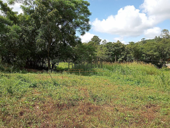 Imagem Chácara com 2 Quartos à Venda, 25.000 m² em Santo Onofre - Viamão