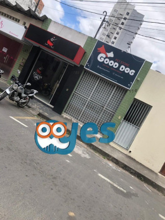 Imagem Casa com 1 Quarto para Alugar, 45 m² em Ponto Central - Feira De Santana Imagem Casa com 1 Quarto para Alugar, 45 m² em Ponto Central - Feira De Santana