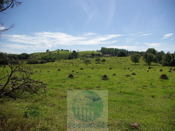 Imagem Imóvel com 3 Quartos à Venda, 220.000 m² em Zona Rural - Jacui