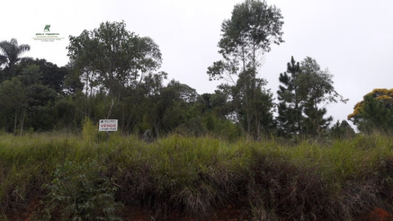 Terreno à Venda, 1.545 m² em Alto Da Serra - São Roque