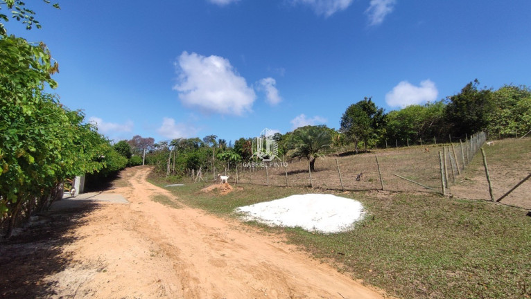 Imagem Terreno à Venda, 6.500 m² em Barra Do Pojuca (monte Gordo) - Camaçari Imagem Terreno à Venda, 6.500 m² em Barra Do Pojuca (monte Gordo) - Camaçari