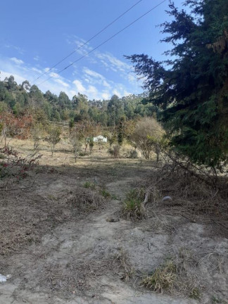 Imagem Chácara com 3 Quartos à Venda, 121.000 m² em Damião - Paraibuna