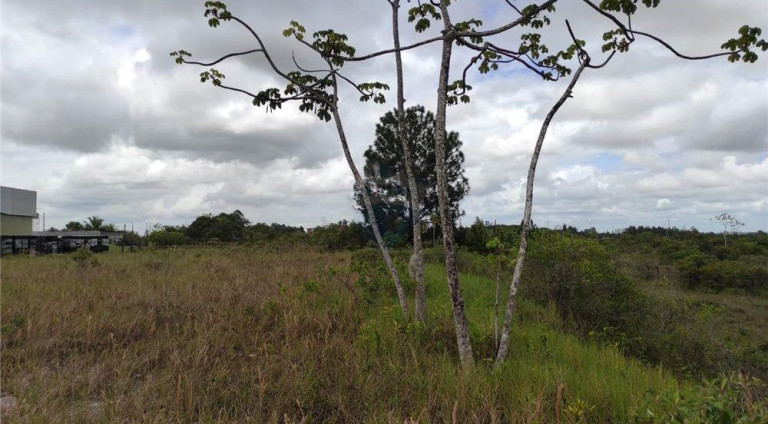 Imagem Terreno à Venda, 17.000 m² em Centro - Camaçari Imagem Terreno à Venda, 17.000 m² em Centro - Camaçari