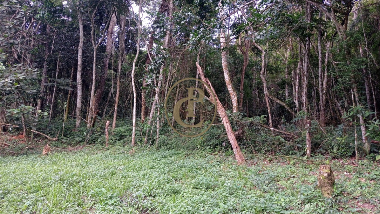 Imagem Chácara com 3 Quartos à Venda, 80.000 m² em Buquirinha - São José Dos Campos Imagem Chácara com 3 Quartos à Venda, 80.000 m² em Buquirinha - São José Dos Campos
