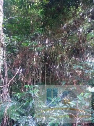 Imagem Terreno à Venda, 20.000 m² em Contenda - São José Dos Pinhais