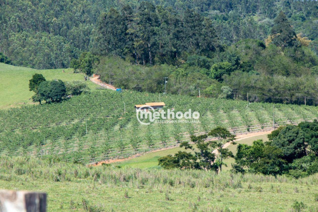 Imagem Imóvel à Venda, 56.785 m² em Feital - Morungaba Imagem Imóvel à Venda, 56.785 m² em Feital - Morungaba
